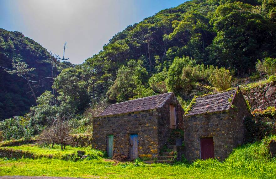Floresta da Laurissilva da Madeira - Chão da Ribeira